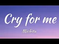 Download Lagu Michita - Cry for me (Lyrics + Eng + Vietsub) ft 愛海