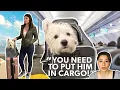 Our puppy Wasn t ALLOWED On The Plane Almost