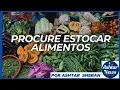 TRY TO STOCK UP FOOD by Ashtar