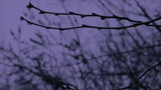 so cold ben cocks slowed 