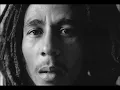 Bob Marley The Wailers Revolution Rare Version