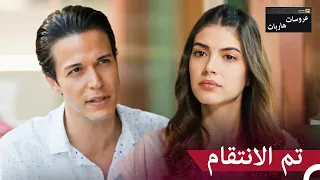 قهوة بالخل من كائنات إلى إيجه عروسات هاربات الحلقة 6 مدبلج بالعربية 