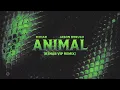 R3HAB, Jason Derulo - Animal (with Jason Derulo) [R3HAB VIP Remix] (Official Audio)