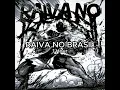 Download Lagu RAIVA NO BRASIL - 1 Hour