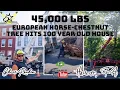 C2 Crane Tree Service Hanover PA for Emergency Tree Removal