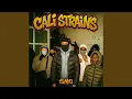 Lagu CALI STRAINS