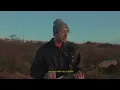 Cardellino - Café  (electroacústico)