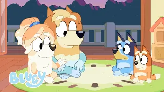 Babá em Dobro 🍼💙 | Episódios Completos! ✨ | Bluey Português Brasil Canal Oficial