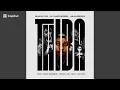 Shaun101, Mluusician & Dj Maphorisa- Thiba (feat. Tango Supreme, Uncool MC & Ricky Lenyora