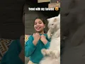 Download Lagu Trend with my favorite😻 #aayataarif#dailyvlog#funny #trendingshorts#reelsinstagram #reels#trending