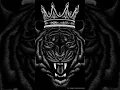 Download Lagu 🥵📢🎧#trance+lu lu lu lu horn high gain trance competition x Lion 🦁#dj #sound #shorts