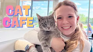 Should we Adopt a Cat ??
