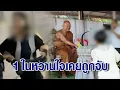 Download Lagu เปิดปมโลก 4ใบของ \