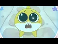 Baby Shark s Big Show Song Inside Looking Out