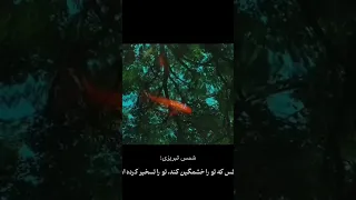 هرکس تو را خشمگین کند تو را تسخیر کرده است حیا کلیپ طبیعت خشم کلیپ 