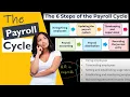The 6 Steps of the Payroll Cycle