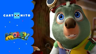 مولي حفلة موسيقية فقرة كارتونيتو كرتون نتورك 