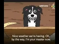 Every Backwards Message In Mr Pickles