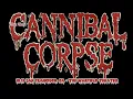 Download Lagu Cannibal Corpse 4K - October 13, 2023 USTour, (Full Concert) The Warfield Theater San Francisco
