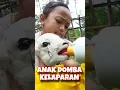 Download Lagu KASIH MINUM SUSU ANAK DOMBA YANG DITINGGAL IBUNYA