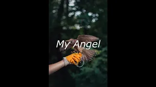 أغنية لو هلف الدنيا ديا         للفنان تامر حسني ومجموعة من الشباب والأطفال      دندنها