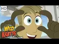 Wild Kratts - Amazing Animals With Special Features Kids s