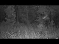 Crickets at Night for Deep Sleep | Real Nature Recording (10 Hours)