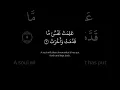 Download Lagu Surah Al-Infitar Verses 1-6 #peace #quran #recitation #soothing #therapy #islam #christian