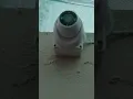 Download Lagu Ezviz CCTV camera installation #foryou #hardstyle #music #dj #foryou #remix #electrician #solarpower