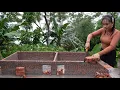 Download Lagu Construction of new pig pen on farm under heavy rain
