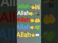 Download Lagu Allah Hi Allah Kiya Karo Kisi Ko Na dekh diya karo #babasehgal #meharbano #afrannisho #omairrana