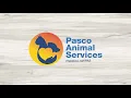 How to Get a Pasco County License Tag