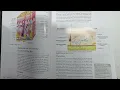 Milady Esthetics Chapter 3 Pages 83-90 Physiology Histology of the Skin Esthetician Aesthetician