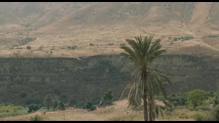 Radiohead You And Whose Army 