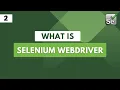 What is Selenium WebDriver What Is Selenium What Is WebDriver Selenium WebDriver Basics