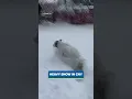 20 inches of snow hit Syracuse here s how Central New Yorkers enjoyed it
