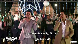 اغنية الله المستعان   النداله شغاله مع حماده مجدي   احمد شيبة دندنها