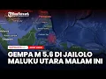 Gempa M 5.6 di Jailolo Maluku Utara Malam Ini, BMKG: tak Potensi Tsunami