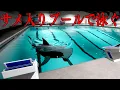 Download Lagu トラウマになる「殺人サメがいるプールを泳いで脱出するホラーゲーム」【Sharks and Minnows】