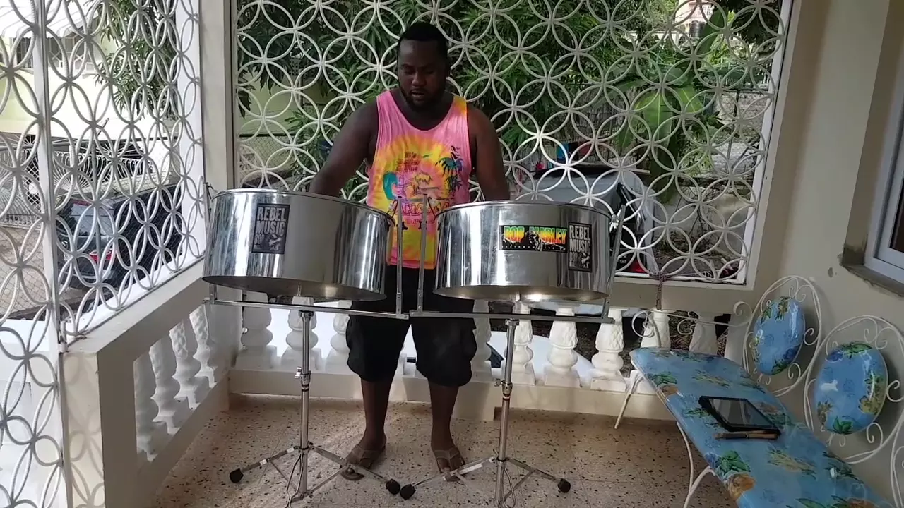 Richie Spice- Earth a run red (steelpan cover)