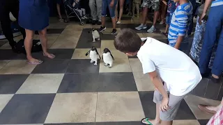 Didn’t expect to see this!