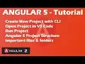 Angular 5 Tutorial - Create New Project