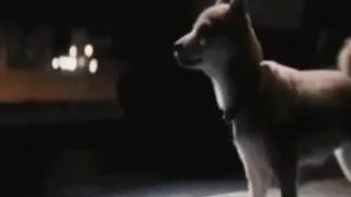 موسيقى حزينة جدا مع قصة وفاء الكلب هاتيشيكو  موسيقى حزينة جدا مع قصة وفاء الكلب هاتيشيكو