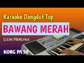 Download Lagu BAWANG MERAH - Lilin Herlina - Karaoke Dangdut Top