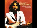 Mr Tambourine Man (Live)