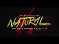 Download Lagu Ceky Viciny X Chaki Bley X El Mello 06 - NATURAL (Video Oficial) La casa de alofoke 