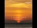 I Surrender - Riddler & Madalina Cretu