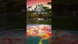 قال رسول الله  ﷺ    ياعلي لاتنم إلا أن تاتي بخمسة أشياء اولا   قراءة القرآن كله      دندنها