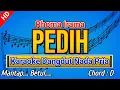 Download Lagu PEDIH (Rhoma Irama) Karaoke Dangdut Nada Pria