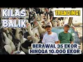 Download Lagu DARI 35 HINGGA 10.000 EKOR ENTOK❗ BEGINI CERITA KANG SULE MERINTIS JUAL BELI ENTOK 
